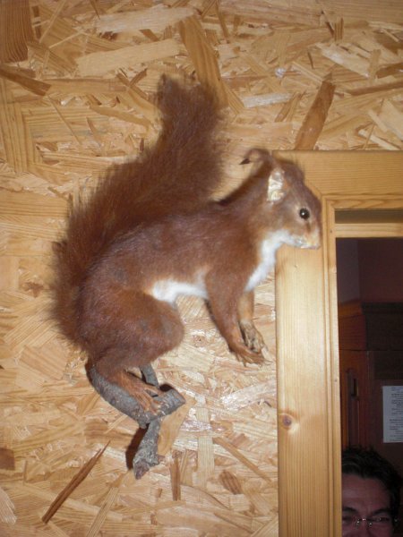 JekaD6OpStapJoost (23)